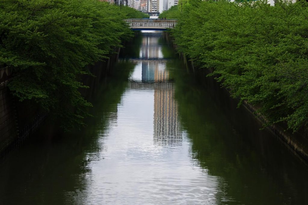 25NJ_aoaosiimegurogawa_TP_V