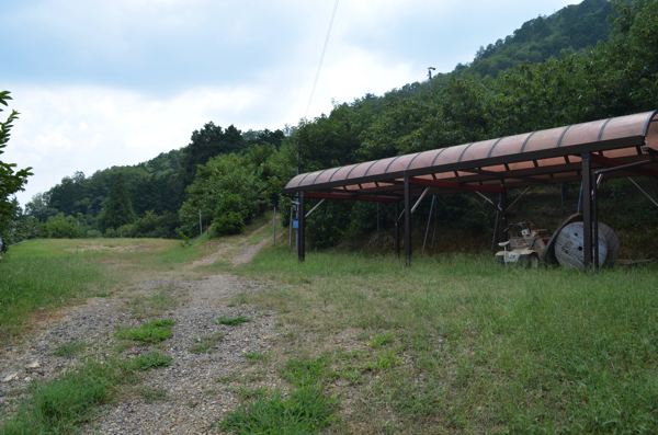屋根の下で栗を厳選!