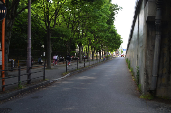 子どもが飛び出さないように気をつけて!