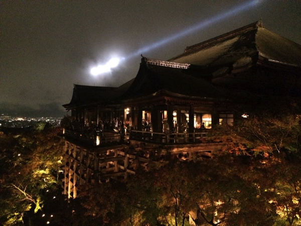 京都の紅葉 情緒あふれる清水寺の紅葉とライトアップ むしろ雨の日が最高 ごりらのせなか