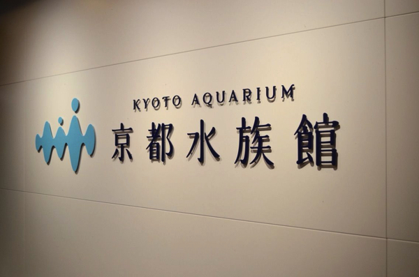 京都水族館は年間パスポートがお得