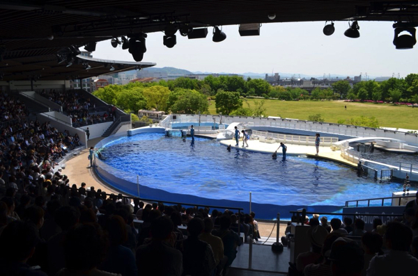 京都水族館のイルカスタジアム