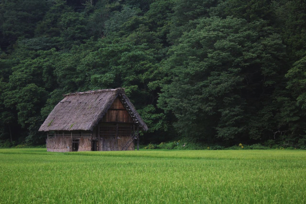 たった1個のきびだんごで従業員に鬼と死闘までさせた桃太郎の話 ごりらのせなか