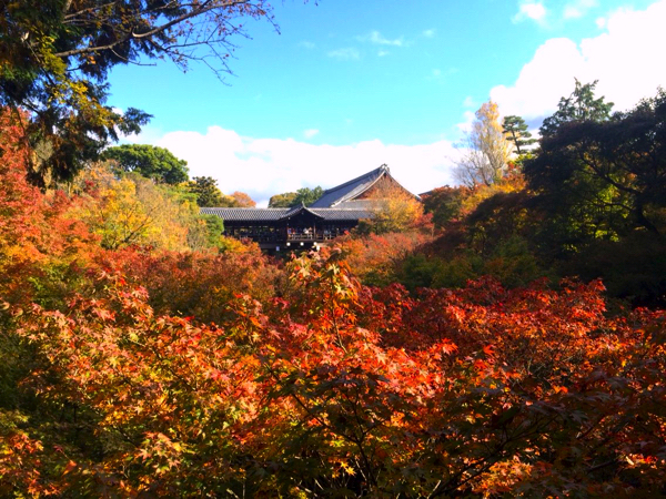 臥雲橋から見る東福寺の紅葉