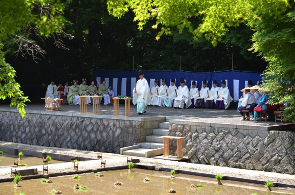 厳かな雰囲気の中、田植祭の開始!