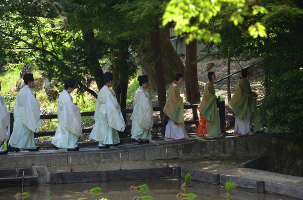 神官が神田に到着