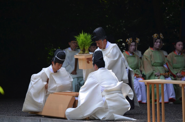 籠の中から取り出される早苗