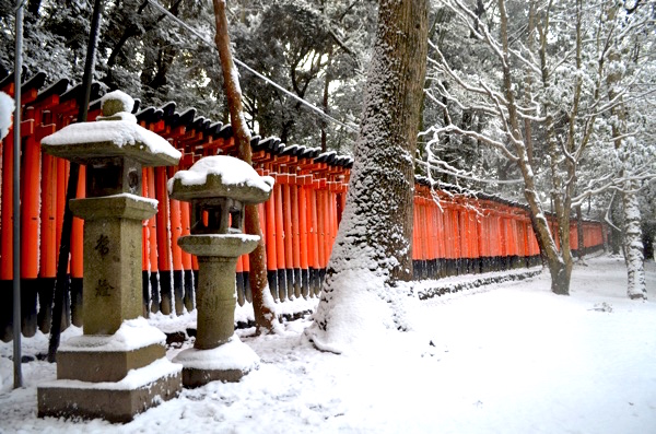 雪に映える“朱色のトンネル”