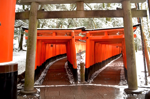 トンネルのような千本鳥居