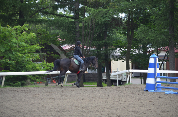 本格的な乗馬も観覧できるライディングエリア