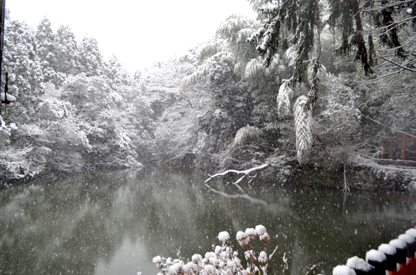 雪の日の新池