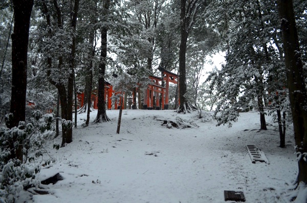 雪山のような三ツ辻のようす