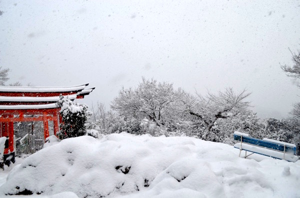 雪の日の稲荷山「四ツ辻」