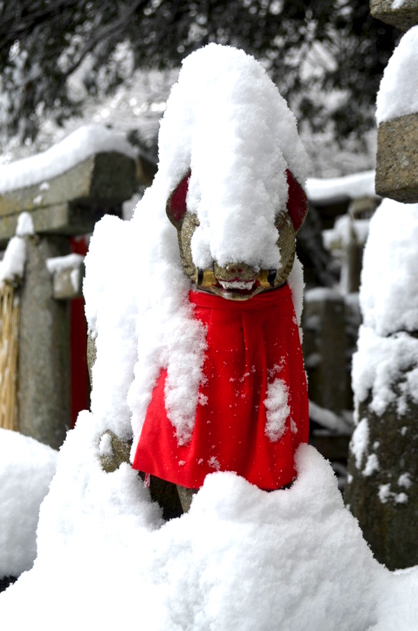 雪に埋もれてしまいそう!