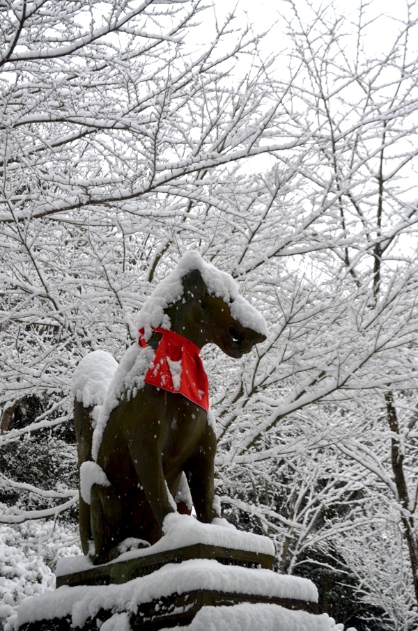 きつね像の顔に雪が積もる