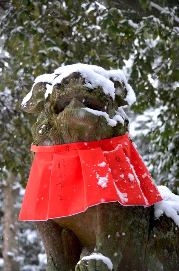 狛犬にも雪が積もる