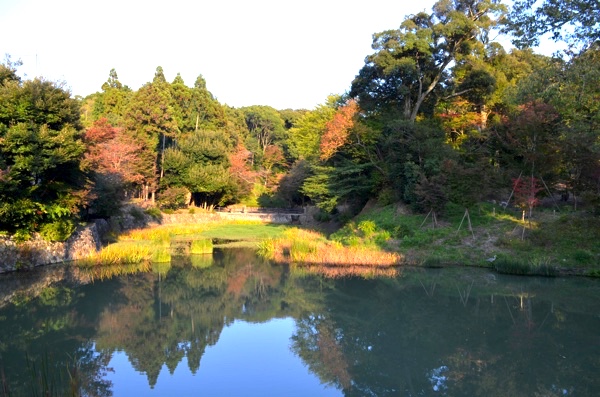 八島ヶ池（お産婆池）