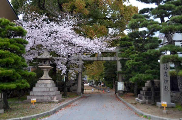 藤森神社の南門