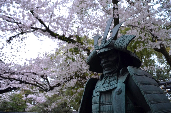藤森神社は桜も美しい!