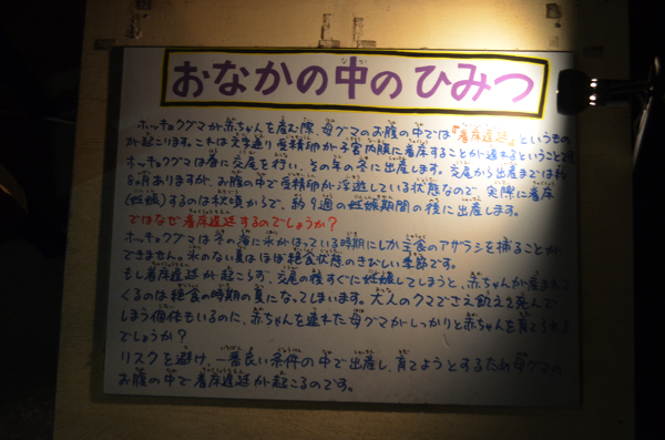 ホッキョクグマの「おなかの中のひみつ」