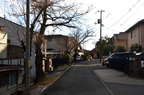 花山稲荷神社の北側の参道