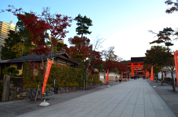 表参道の紅葉（撮影：2017年11月19日）