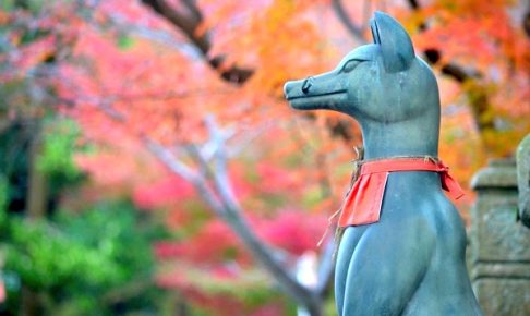 京都 伏見稲荷大社 稲荷山の紅葉の見頃とおすすめ撮影スポット ごりらのせなか