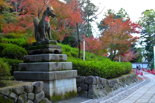 秋には紅葉が色づく