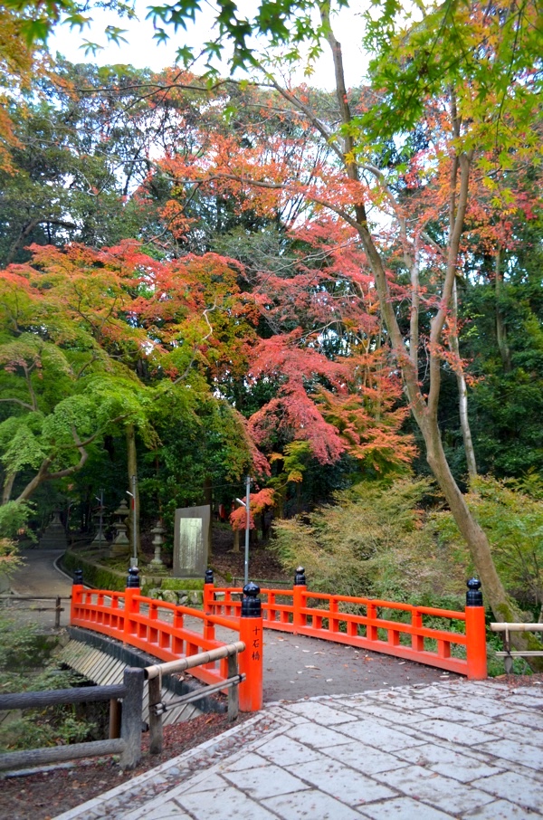 十石橋と紅葉（撮影：2017年11月19日）