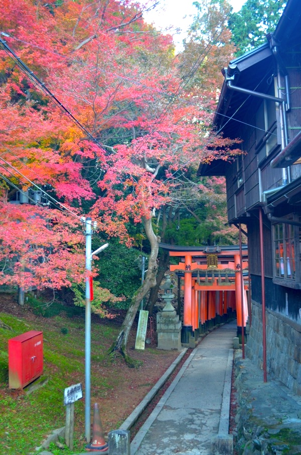 仁志むら亭と紅葉（撮影：2017年11月19日）