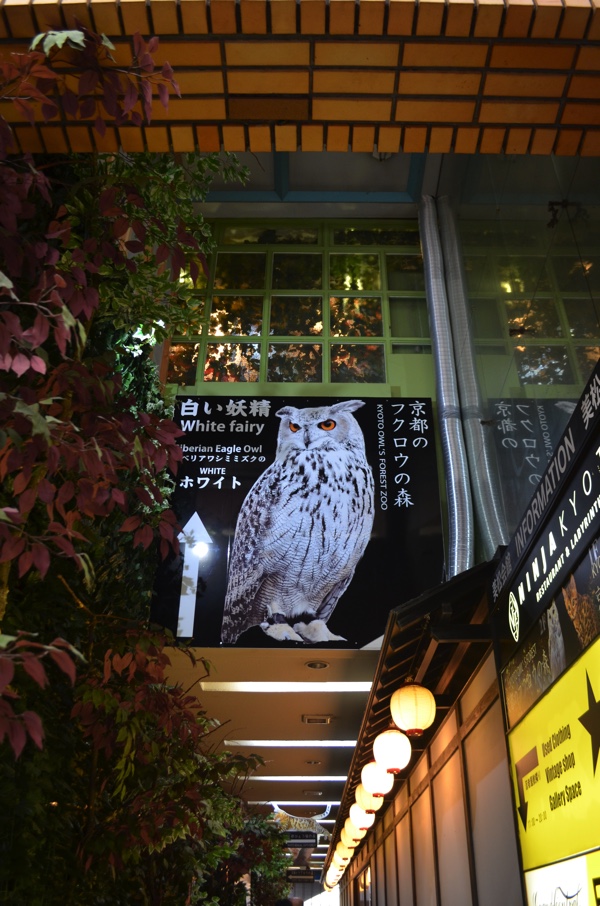 シベリアワシミミズクの看板