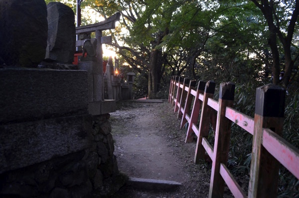 田中社（権太夫大神）の裏側