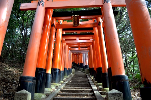 稲荷山の鳥居