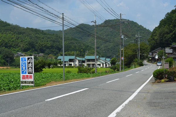 県道300号線