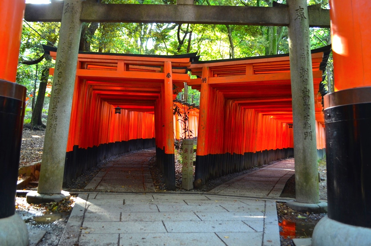 2列並ぶ千本鳥居はかけっこにぴったりだった…