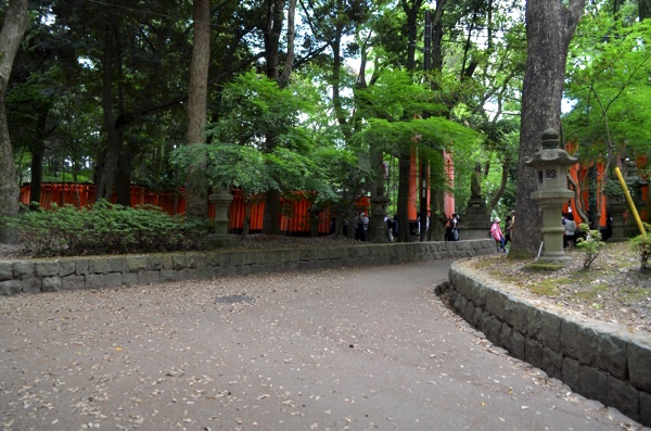 この先に千本鳥居がある