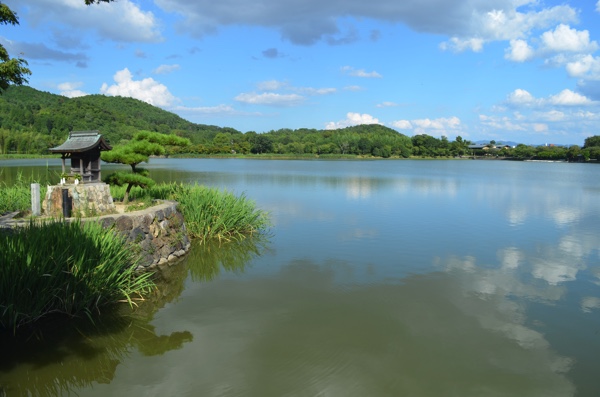京都でザリガニ釣りをするなら広沢池 と思っていたら実は禁止行為でした ごりらのせなか
