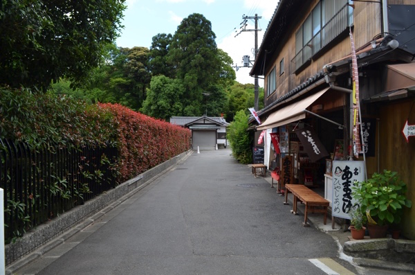 左に見える垣根の奥が「八島ヶ池（おさんば池）」