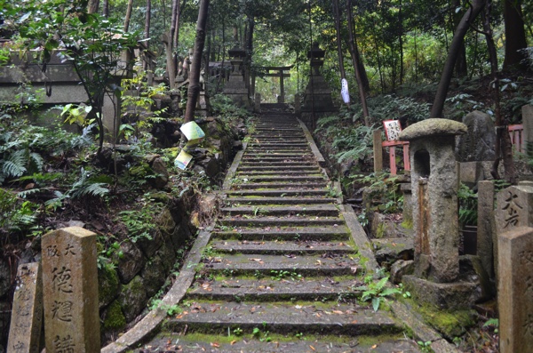 大岩神社への道はまだまだ続く!