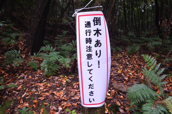 「倒木あり! 」の看板