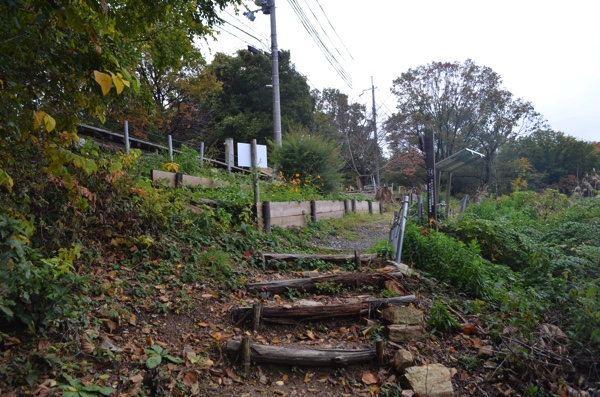 ようやく大岩山展望所へ