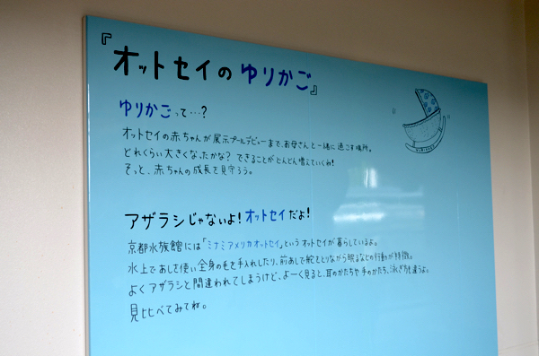 「オットセイのゆりかご」の案内