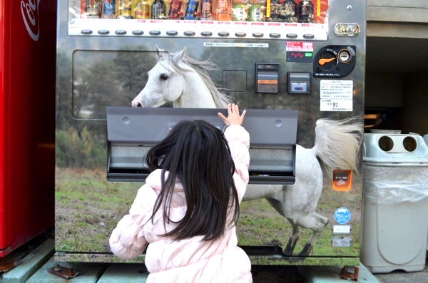 参集殿前の自動販売機