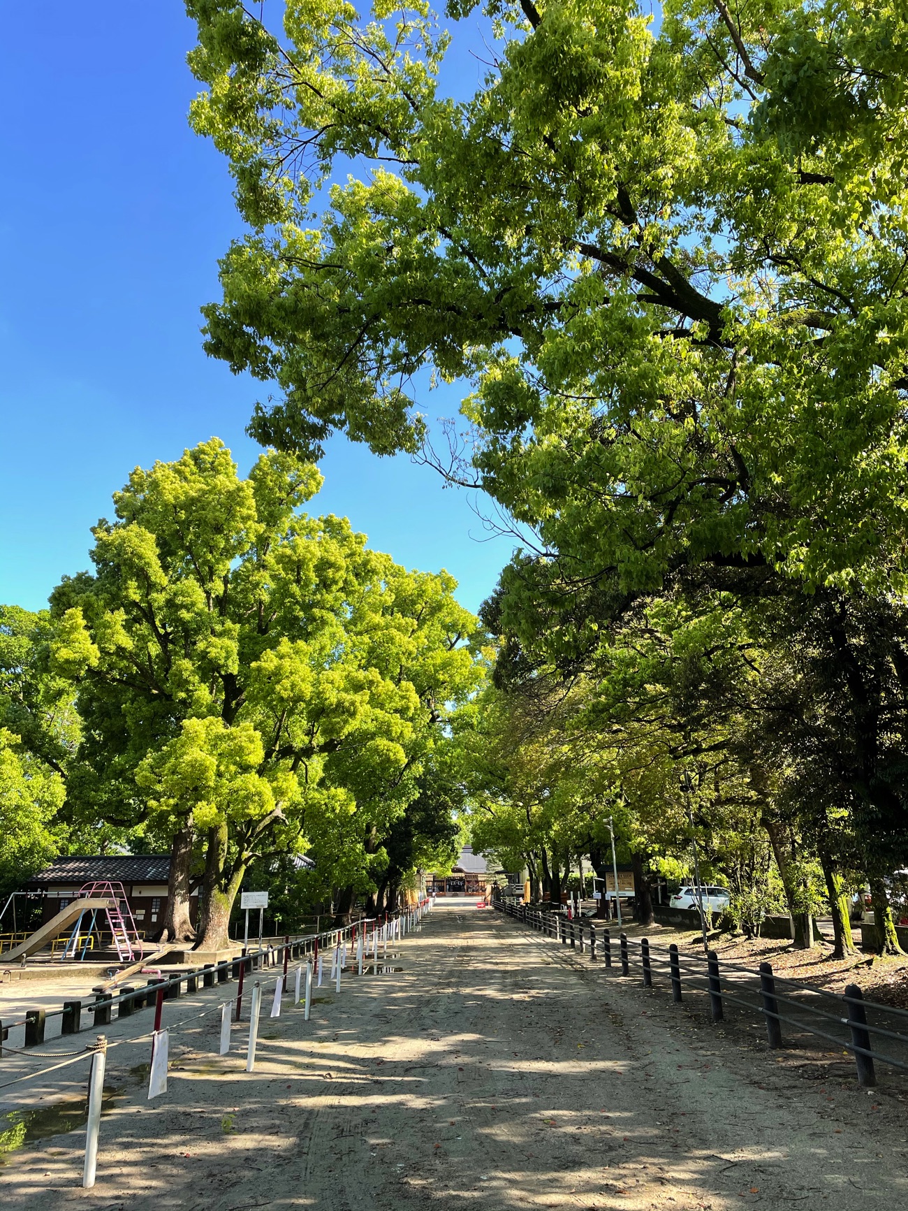 藤森神社の参道