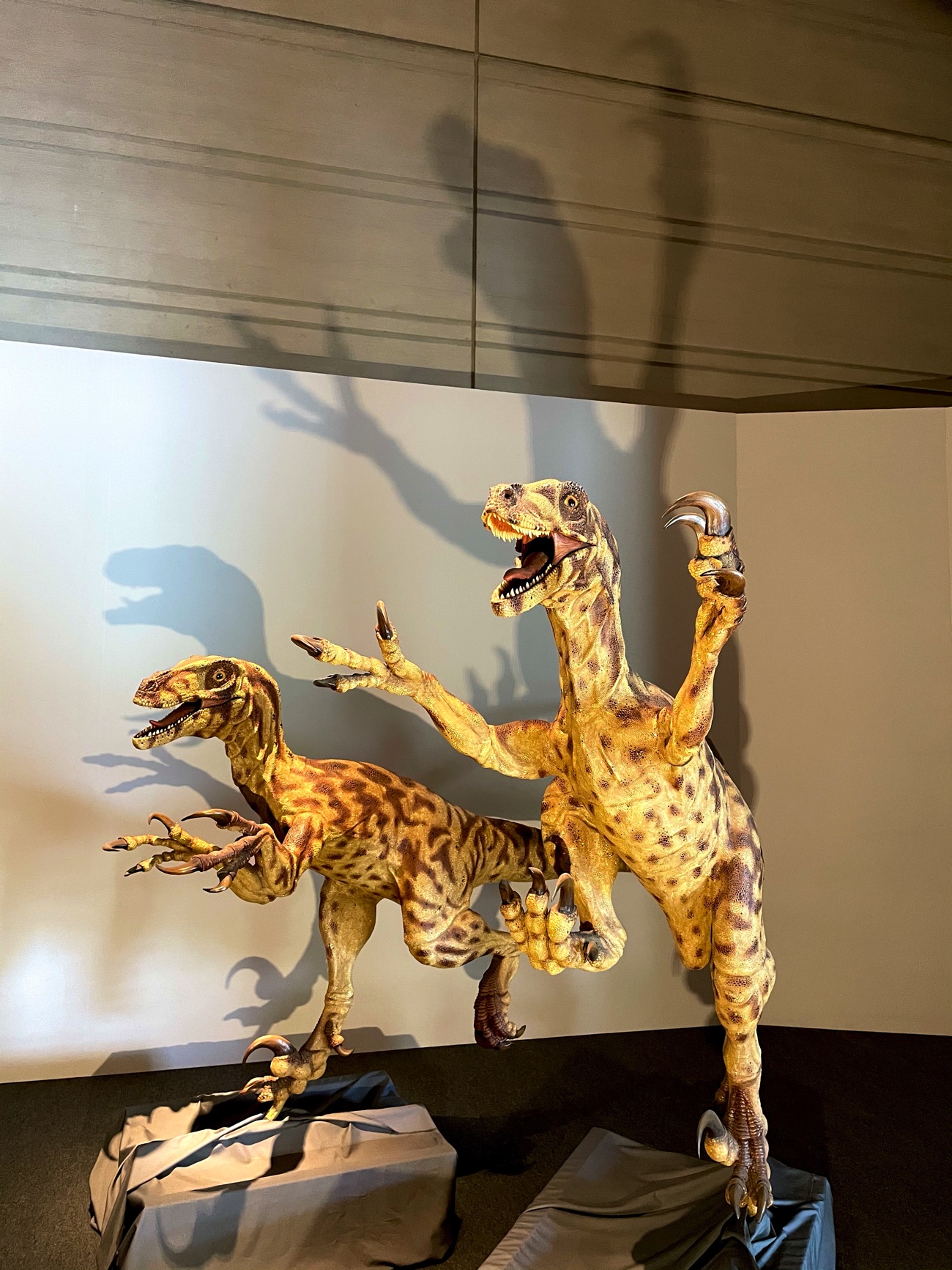 佐川美術館「大恐竜展」（2021年）