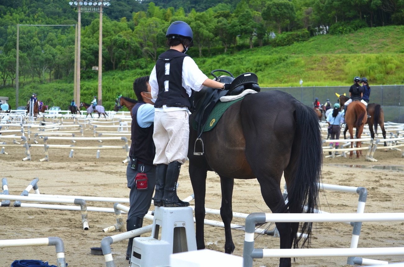 踏み台を使って馬に乗る