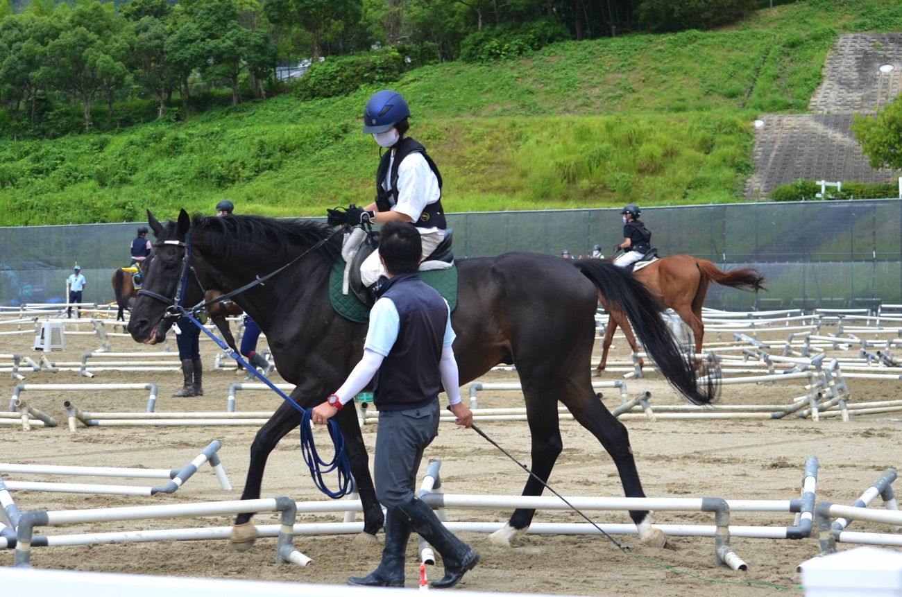 乗馬体験ができる