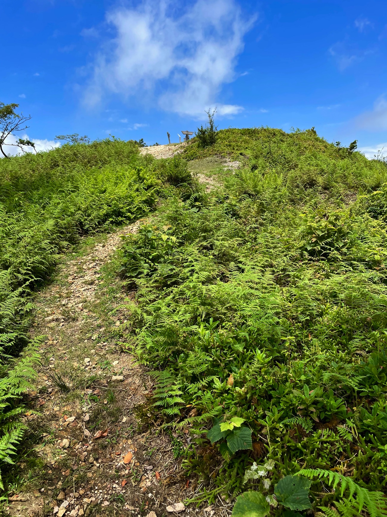 一転、炎天下の登山に!