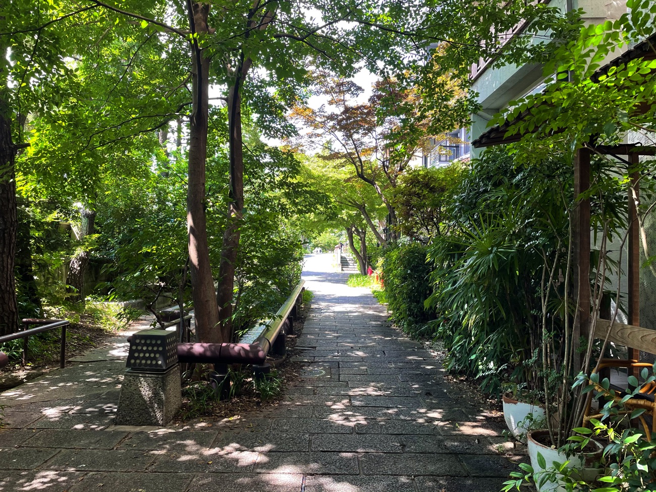 川端通り沿いの雰囲気