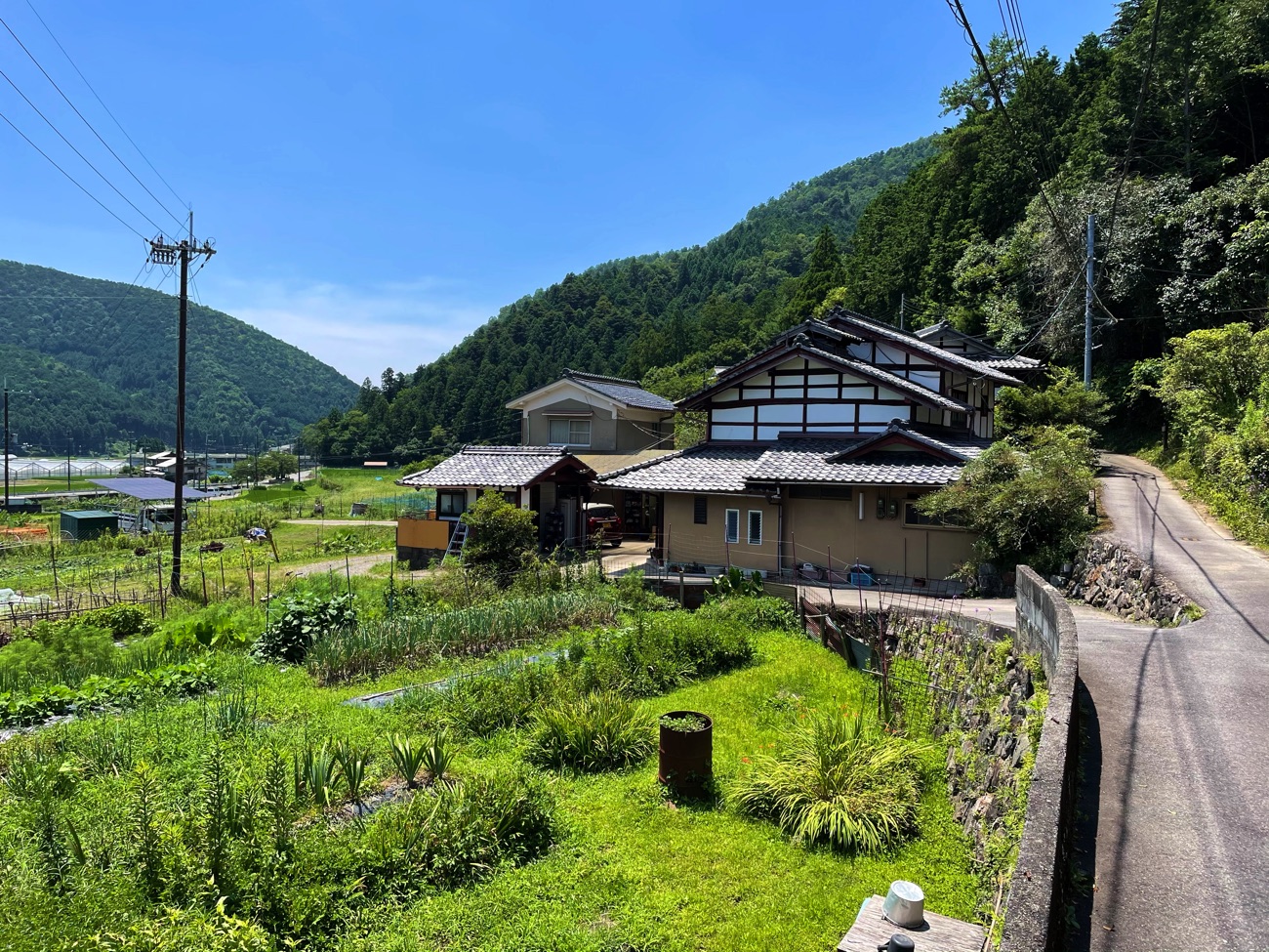 里山を歩く